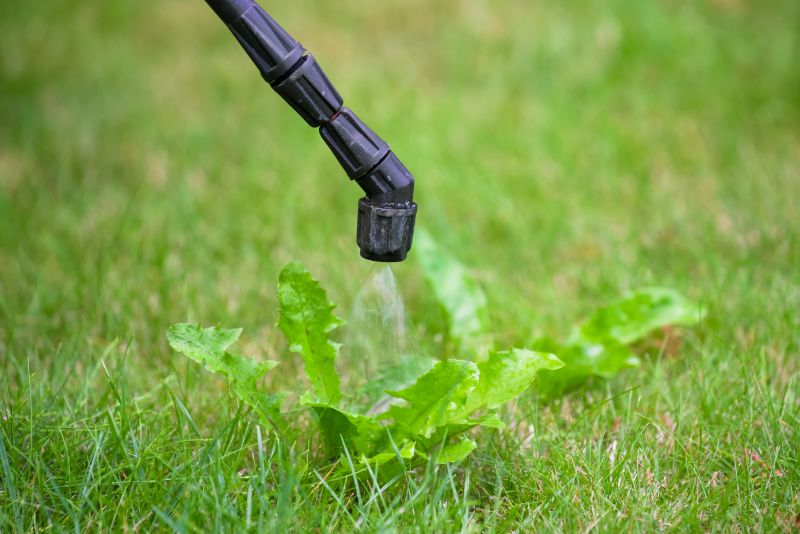 Crabgrass Removal in Ventura County, CA