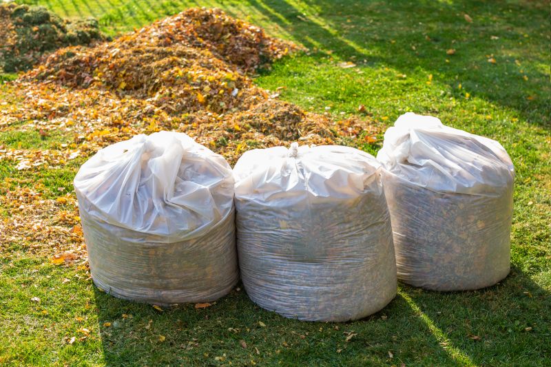Landscaping Cleanup Service in Ventura County, CA