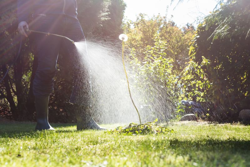 Pampas Grass Control in Aiken, SC