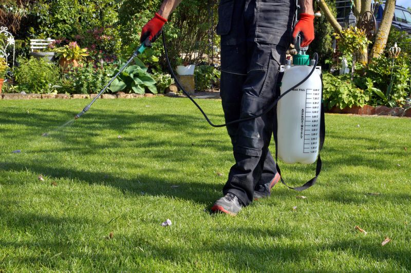 Slope Weed Control in Honolulu, HI
