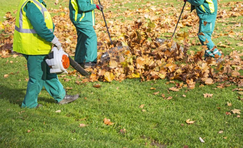 Spring Lawn Cleanup in Honolulu, HI
