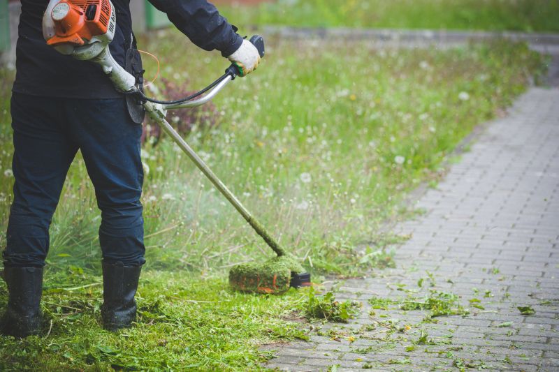 Weed Whacking in Bowie, MD