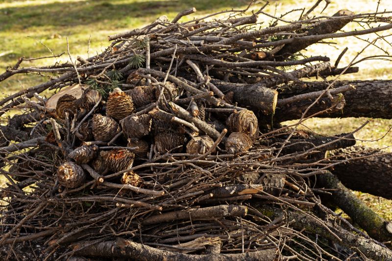 Wood Pile Removal in Honolulu, HI